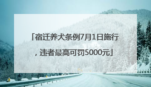 宿迁养犬条例7月1日施行，违者最高可罚5000元