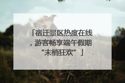 宿迁景区热度在线，游客畅享端午假期“末梢狂欢”