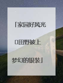 家园好风光 ⎮田野披上梦幻的银装