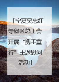 宁夏吴忠红寺堡区总工会开展“携手童行”主题慰问活动