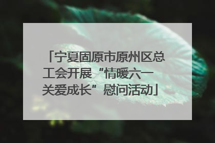 宁夏固原市原州区总工会开展“情暖六一 关爱成长”慰问活动