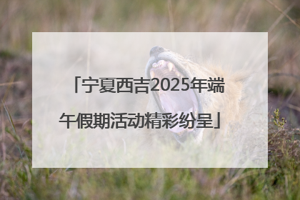宁夏西吉2025年端午假期活动精彩纷呈