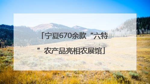 宁夏670余款“六特”农产品亮相农展馆