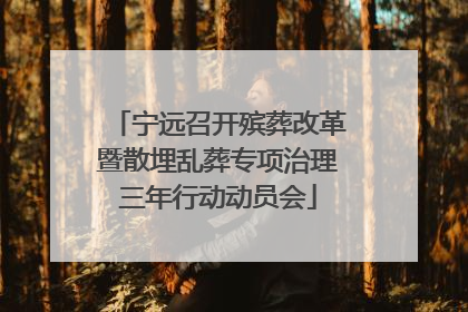 宁远召开殡葬改革暨散埋乱葬专项治理三年行动动员会