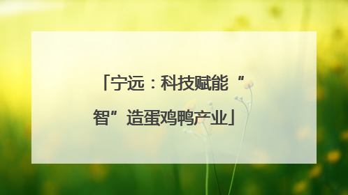 宁远：科技赋能“智”造蛋鸡鸭产业