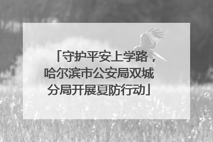 守护平安上学路，哈尔滨市公安局双城分局开展夏防行动
