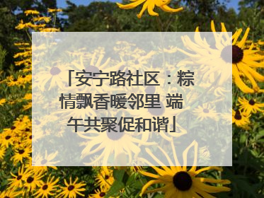 安宁路社区：粽情飘香暖邻里 端午共聚促和谐