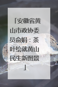 安徽省黄山市政协委员俞娟：茶叶绘就黄山民生新图景