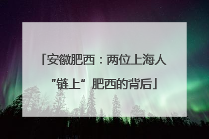 安徽肥西：两位上海人“链上”肥西的背后