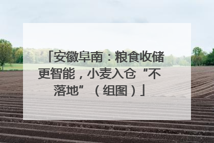 安徽阜南：粮食收储更智能，小麦入仓“不落地”（组图）