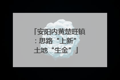 安阳内黄楚旺镇：思路“上新” 土地“生金”