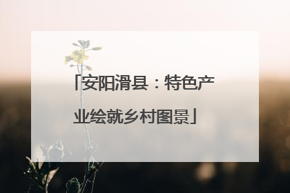 安阳滑县：特色产业绘就乡村图景