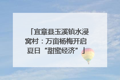 宜章县玉溪镇水浸窝村：万亩杨梅开启夏日“甜蜜经济”