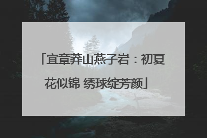 宜章莽山燕子岩：初夏花似锦 绣球绽芳颜