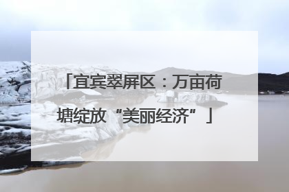 宜宾翠屏区：万亩荷塘绽放“美丽经济”