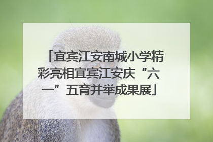 宜宾江安南城小学精彩亮相宜宾江安庆“六一”五育并举成果展
