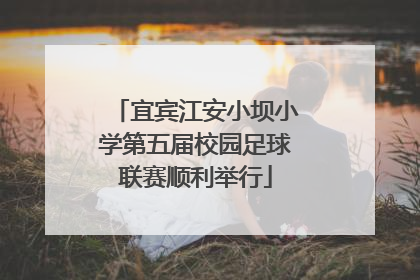 宜宾江安小坝小学第五届校园足球联赛顺利举行