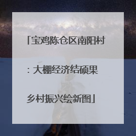 宝鸡陈仓区南阳村：大棚经济结硕果 乡村振兴绘新图