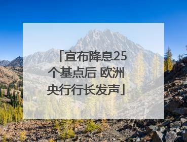 宣布降息25个基点后 欧洲央行行长发声