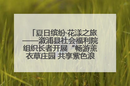 夏日缤纷·花漾之旅——溆浦县社会福利院组织长者开展“畅游薰衣草庄园 共享紫色浪漫”户外活动