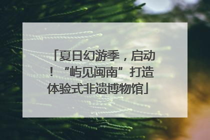 夏日幻游季，启动！“屿见闽南”打造体验式非遗博物馆