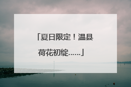 夏日限定！温县荷花初绽……