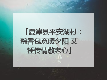 夏津县平安湖村：粽香包意暖夕阳 艾锤传情敬老心
