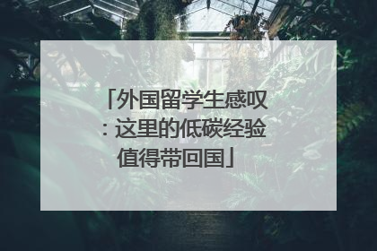 外国留学生感叹：这里的低碳经验值得带回国