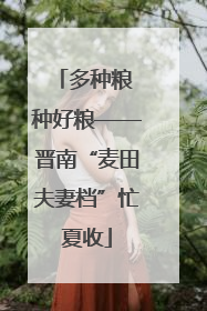 多种粮 种好粮——晋南“麦田夫妻档”忙夏收
