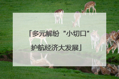 多元解纷“小切口” 护航经济大发展