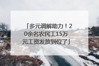 多元调解助力！20余名农民工15万元工资发放到位了