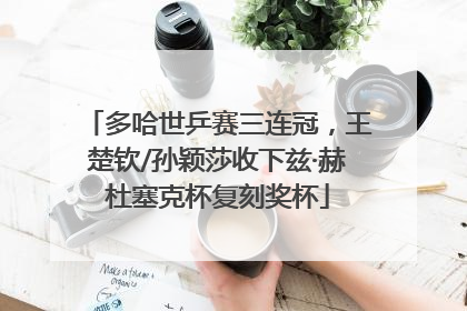 多哈世乒赛三连冠，王楚钦/孙颖莎收下兹·赫杜塞克杯复刻奖杯