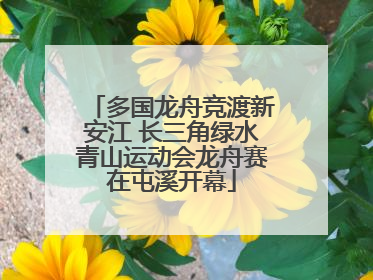 多国龙舟竞渡新安江 长三角绿水青山运动会龙舟赛在屯溪开幕