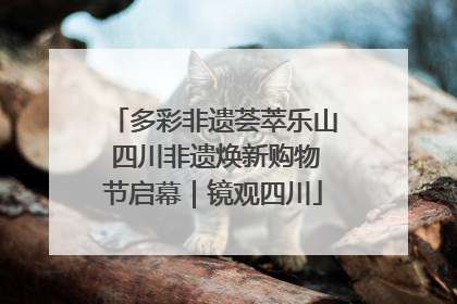 多彩非遗荟萃乐山 四川非遗焕新购物节启幕｜镜观四川