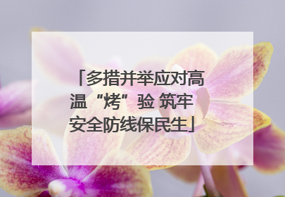 多措并举应对高温“烤”验 筑牢安全防线保民生