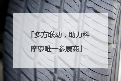 多方联动，助力科摩罗唯一参展商