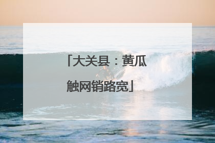大关县：黄瓜触网销路宽