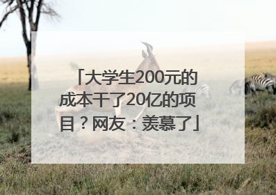 大学生200元的成本干了20亿的项目？网友：羡慕了