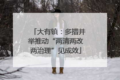 大有镇：多措并举推动“两清两改两治理”见成效