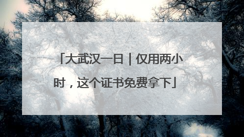 大武汉一日｜仅用两小时，这个证书免费拿下