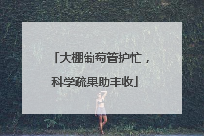 大棚葡萄管护忙，科学疏果助丰收