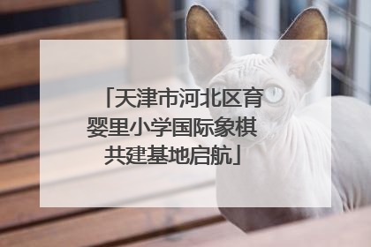 天津市河北区育婴里小学国际象棋共建基地启航