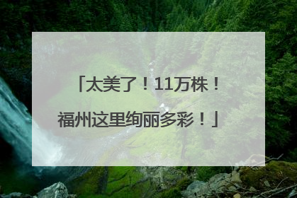 太美了！11万株！福州这里绚丽多彩！