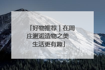 好物推荐｜在周庄邂逅造物之美 生活更有趣