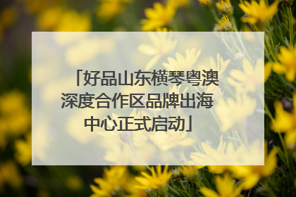好品山东横琴粤澳深度合作区品牌出海中心正式启动