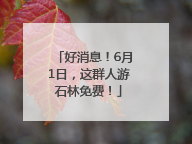 好消息！6月1日，这群人游石林免费！