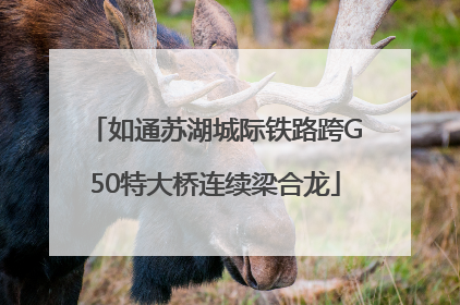 如通苏湖城际铁路跨G50特大桥连续梁合龙