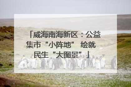 威海南海新区：公益集市“小阵地” 绘就民生“大图景”