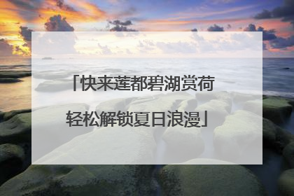 快来莲都碧湖赏荷 轻松解锁夏日浪漫