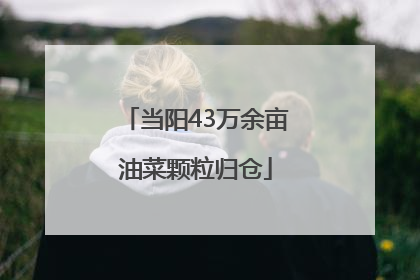 当阳43万余亩油菜颗粒归仓